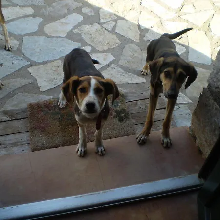 αραχωβίτικα καλύβια 3*