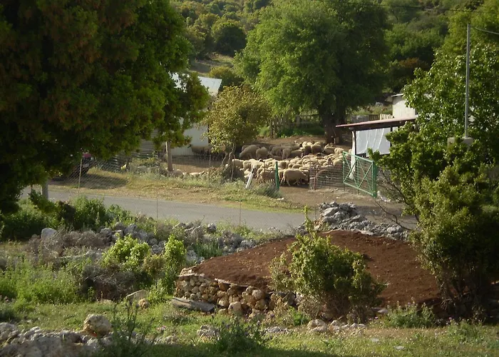 Arachovitika Kalivia