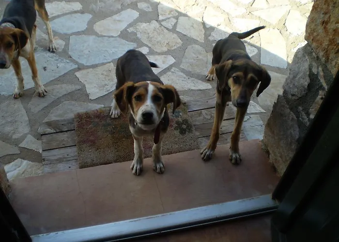 Arachovitika Kalivia 3*