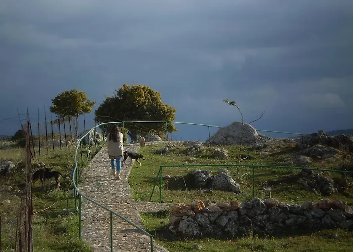 Arachovitika Kalivia